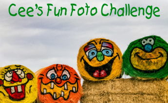 cees-fun-foto-challenge