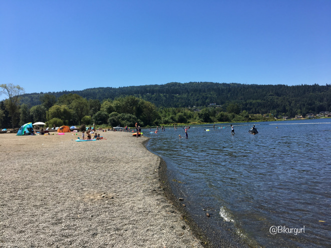 100wordwednesdayweek29