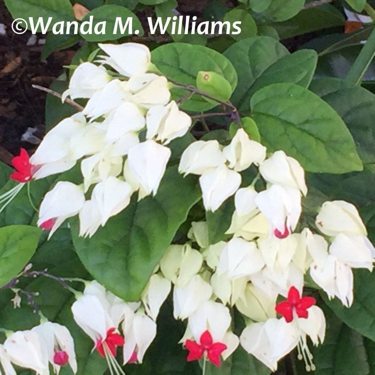 1512ABF7-6F58-445F-AEC0-90D3067CE221