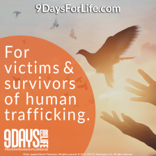 intention-3-9-days-2018-english