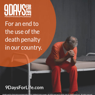 intention-8-english-color-9-days-2017