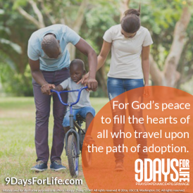 intention-9-english-color-9-days-2017