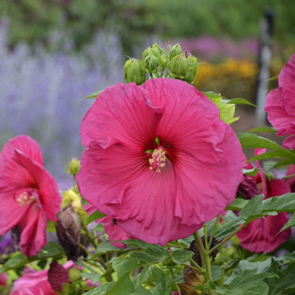 1033a01003f1793381341496e6069c33